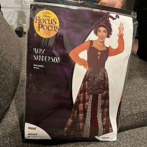 Mary Sanderson Adult costume
